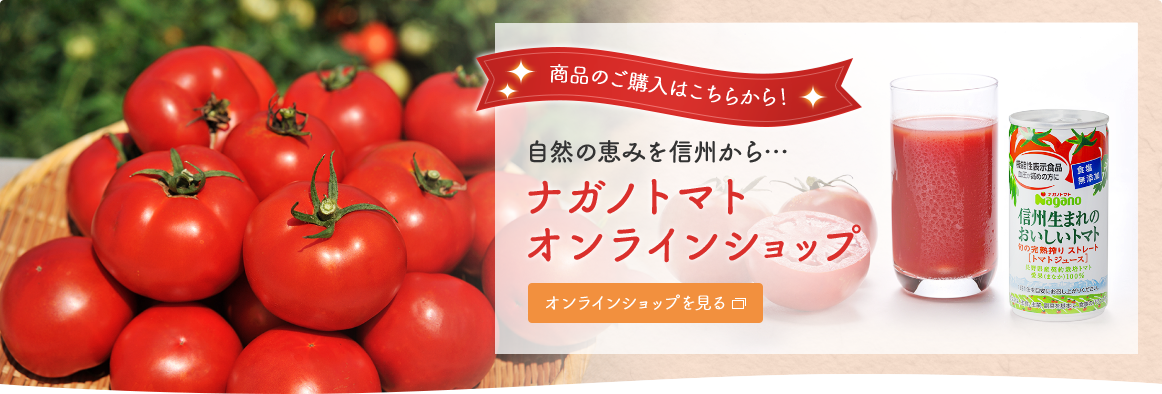 204円 品質満点！ ナガノトマト 長野県産ケチャップ 240g