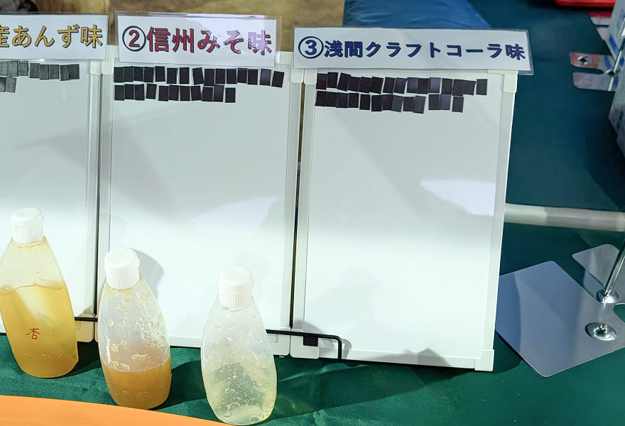 アンケート実施時の写真